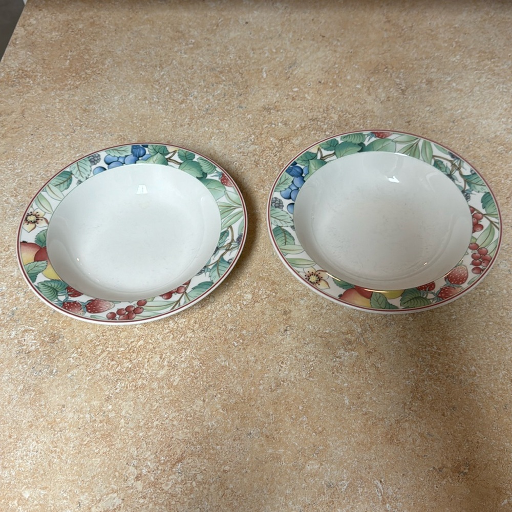 Villeroy & Boch Catalina Set of 2 Cereal Bowls.